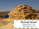 mardin kızıltepe kaliteli saman 