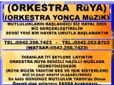 DENİZLİDEKİ ORKESTRALAR DENİZLİDEKİ BAYAN ORKESTRA TAVAS ORKESTRA KARACASU ORKESTRALAR